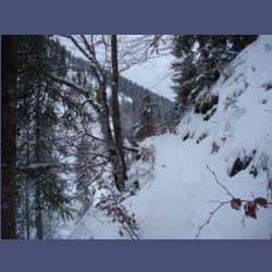 2013-02-02_Rappinschlucht_Lainlalm (069).jpg